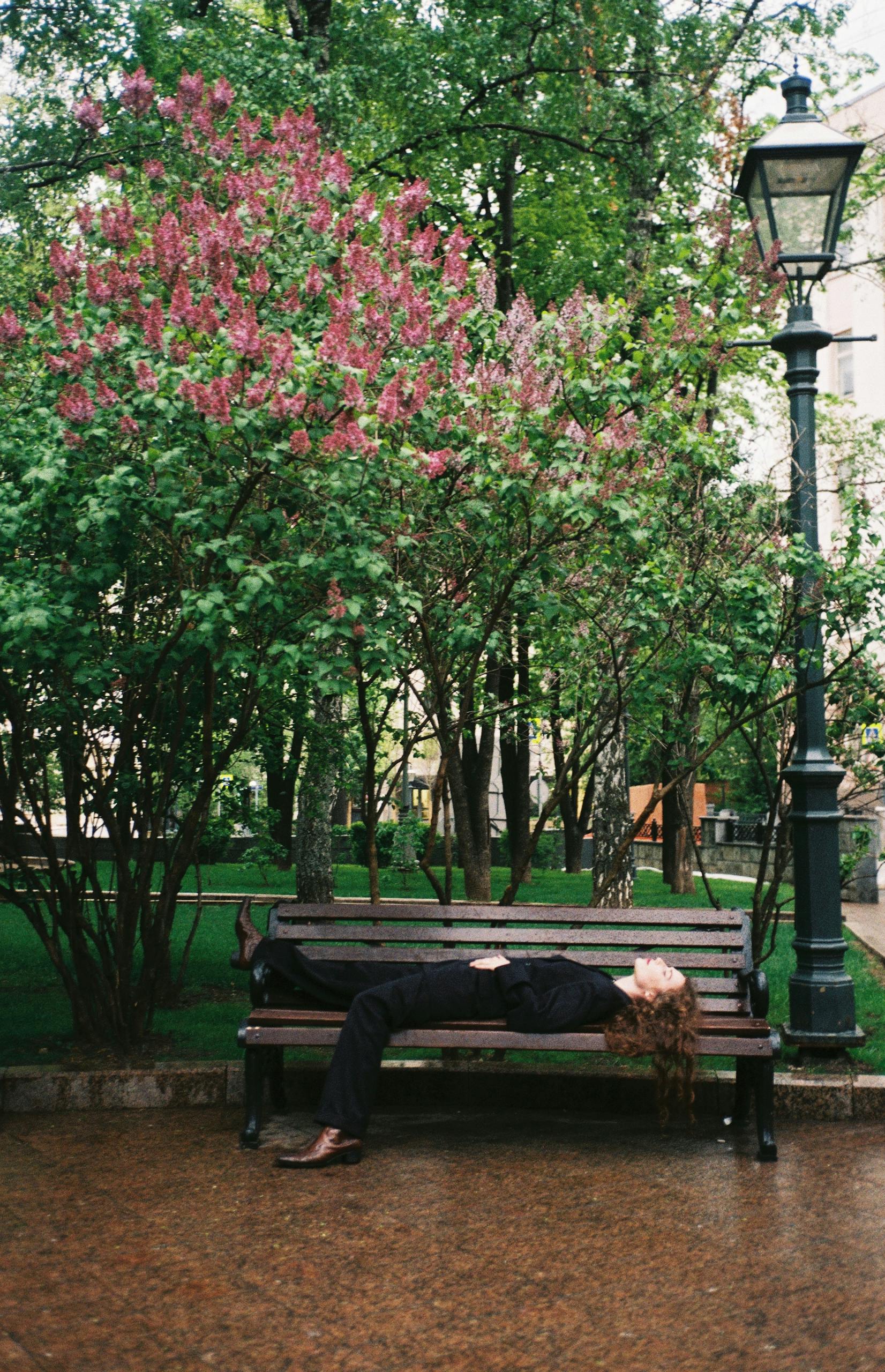 A woman leisurely lying on a bench in a city park surrounded by blossoming trees.